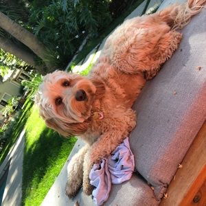 Meet your Posher, Cory